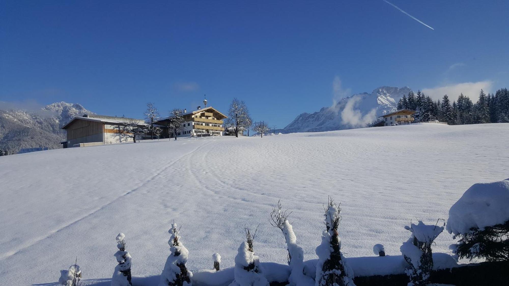 Appartement Seebacher Hochfilzen Eksteriør bilde