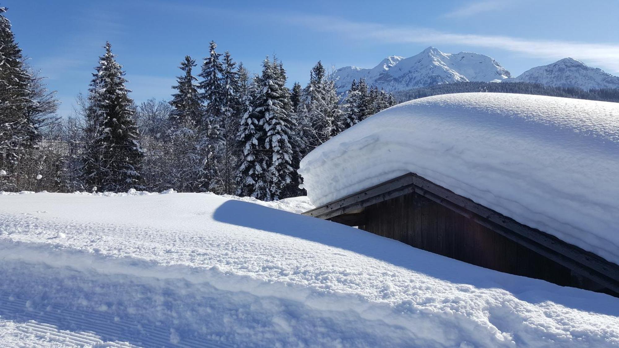 Appartement Seebacher Hochfilzen Eksteriør bilde
