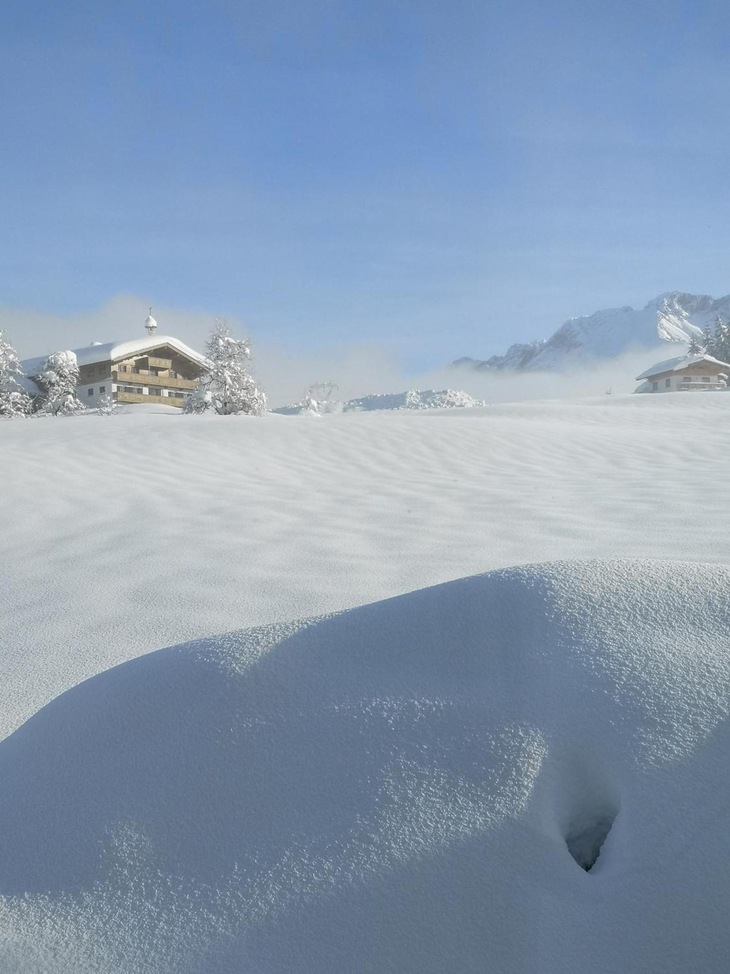 Appartement Seebacher Hochfilzen Eksteriør bilde
