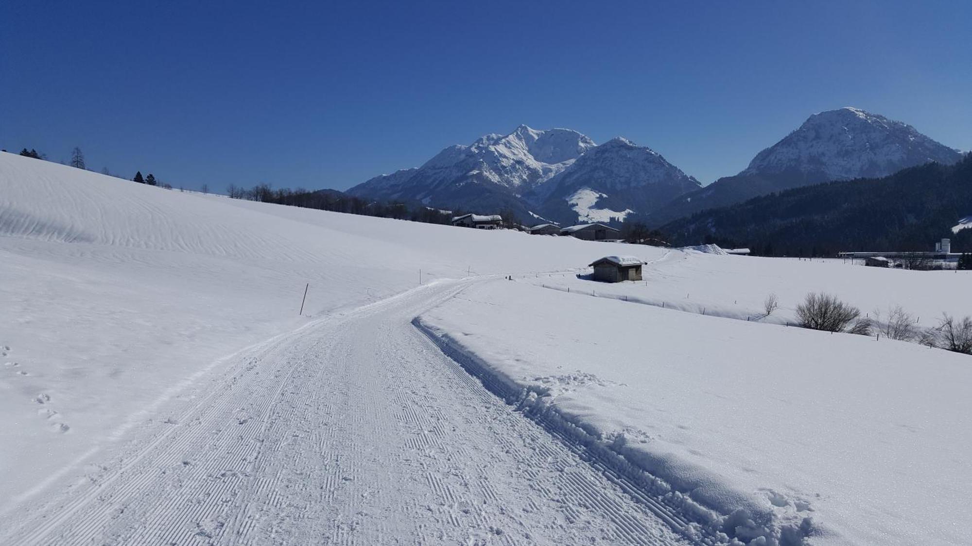 Appartement Seebacher Hochfilzen Eksteriør bilde