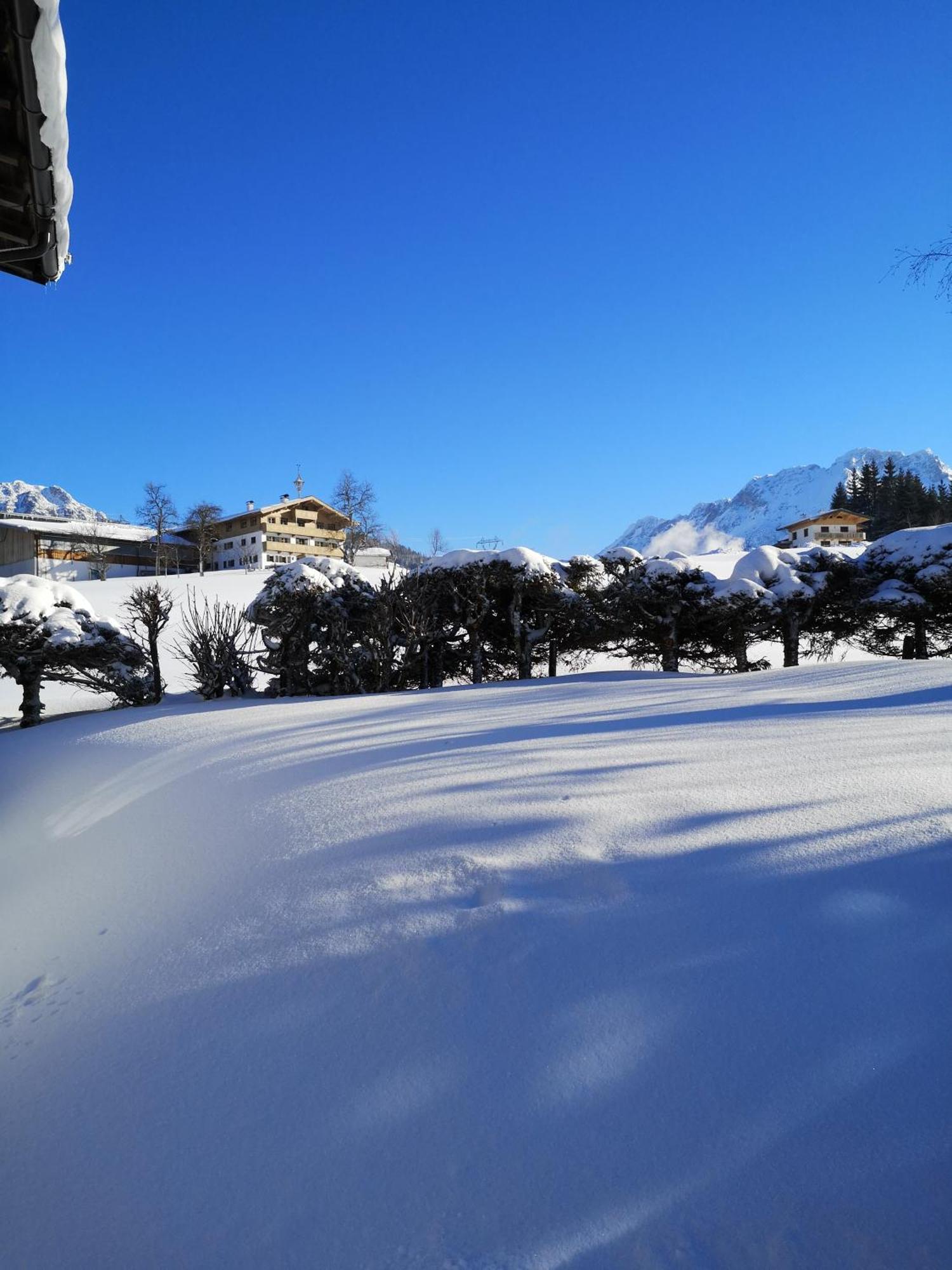 Appartement Seebacher Hochfilzen Eksteriør bilde