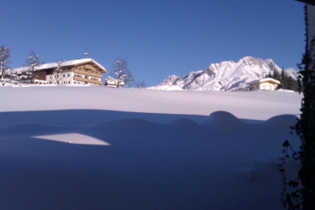 Appartement Seebacher Hochfilzen Eksteriør bilde