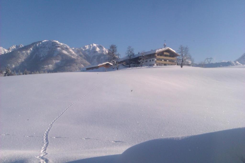 Appartement Seebacher Hochfilzen Eksteriør bilde