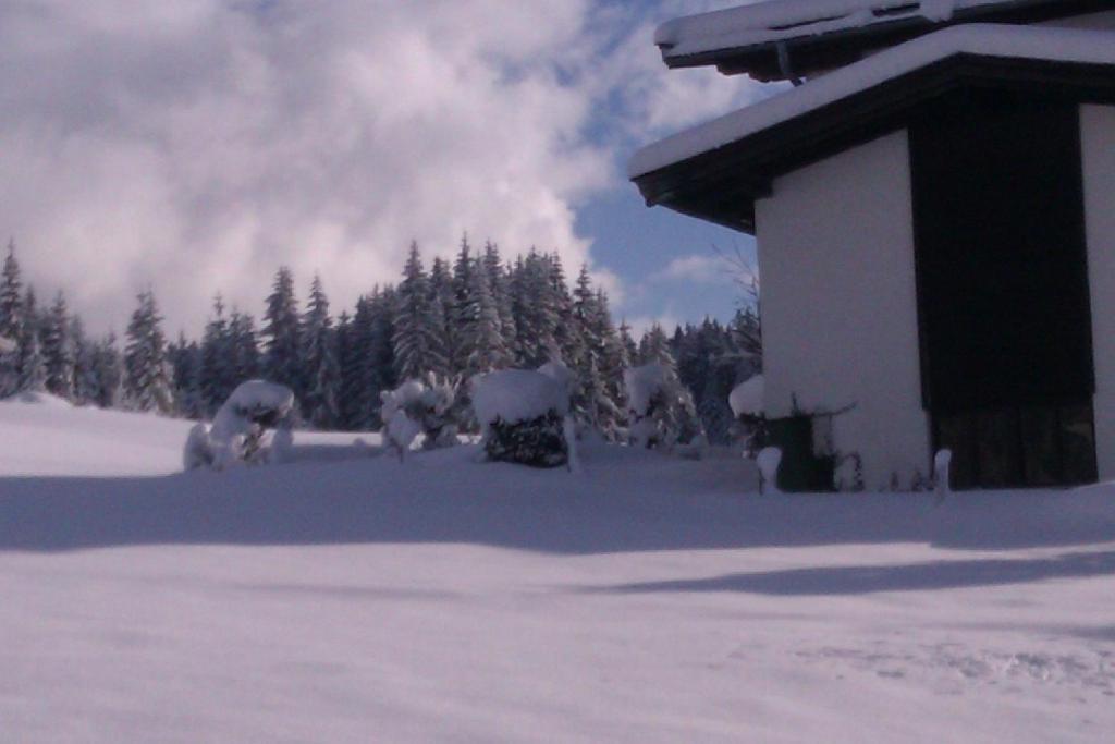 Appartement Seebacher Hochfilzen Eksteriør bilde